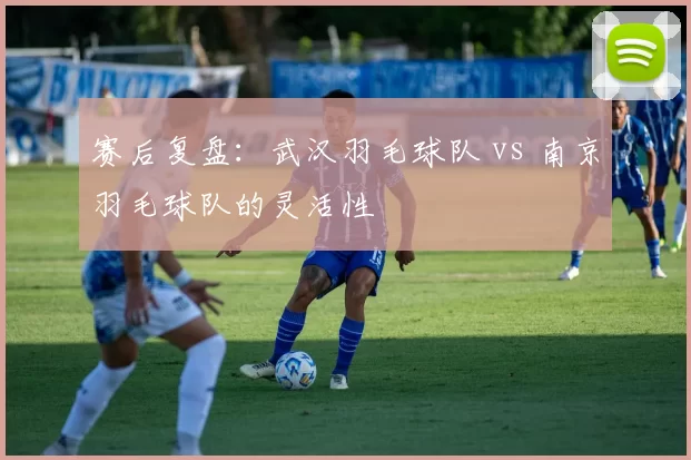 赛后复盘：武汉羽毛球队 vs 南京羽毛球队的灵活性