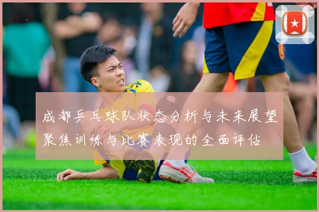 成都乒乓球队状态分析与未来展望聚焦训练与比赛表现的全面评估