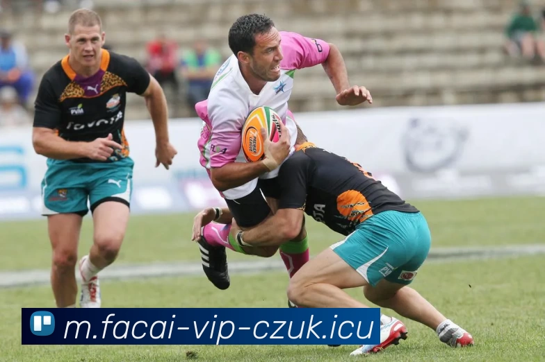 数据防护可视化